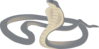 Curled Cobra Clip Art